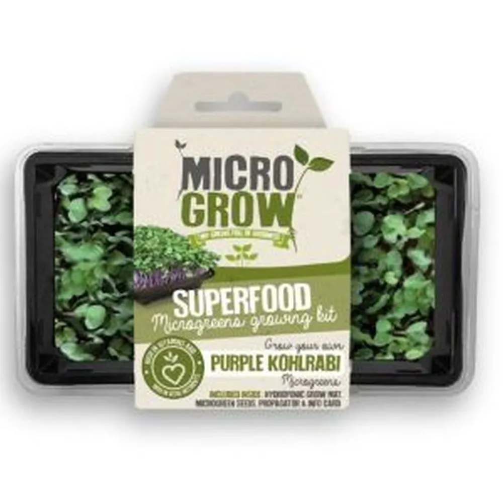 Grow Sow Simple Micro-Grow Kit Kohl Rabi