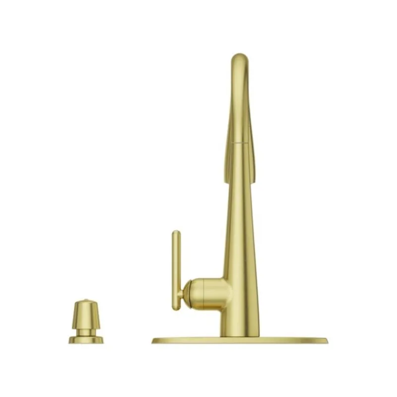 Lita Single-Handle Pull-Down Faucet