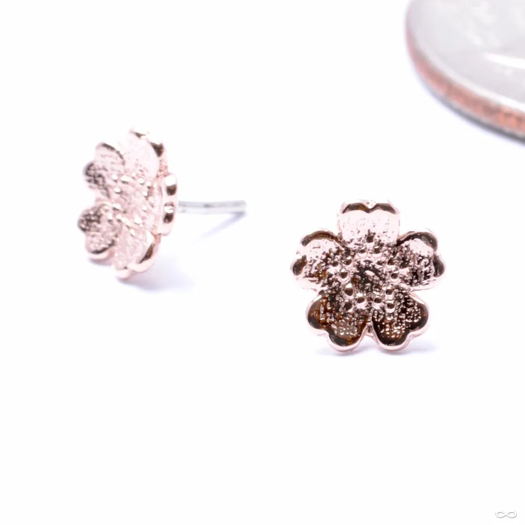 Simple Daisy Press-fit End in Gold from BVLA