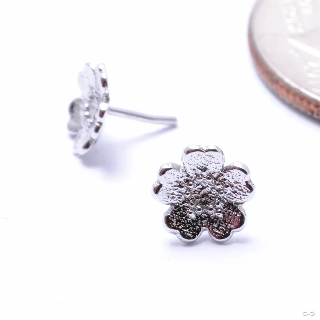 Simple Daisy Press-fit End in Gold from BVLA