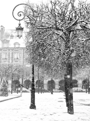 Snowy Morning in Place des Vosges